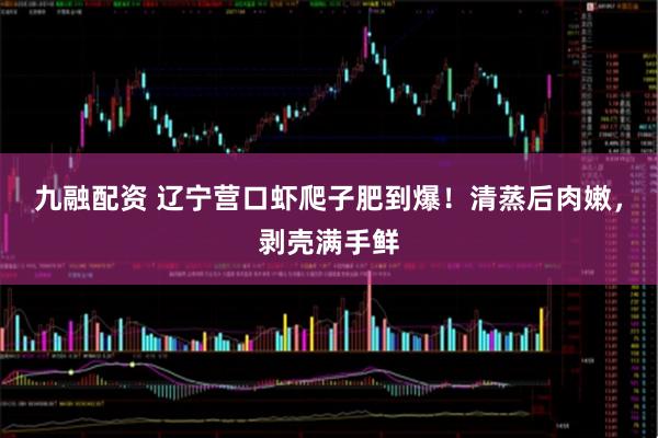 九融配资 辽宁营口虾爬子肥到爆！清蒸后肉嫩，剥壳满手鲜