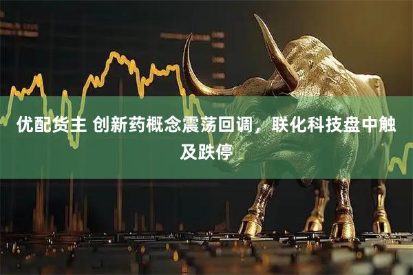 优配货主 创新药概念震荡回调，联化科技盘中触及跌停