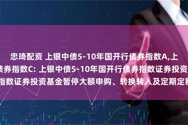 忠琦配资 上银中债5-10年国开行债券指数A,上银中债5-10年国开行债券指数C: 上银中债5-10年国开行债券指数证券投资基金暂停大额申购、转换转入及定期定额投资业务的公告