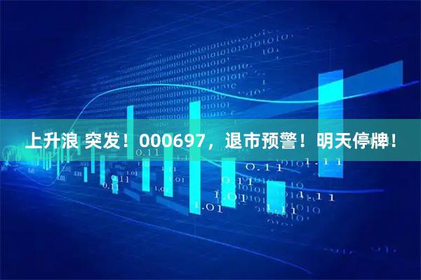 上升浪 突发！000697，退市预警！明天停牌！
