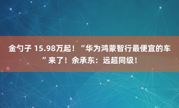 金勺子 15.98万起！“华为鸿蒙智行最便宜的车”来了！余承东：远超同级！