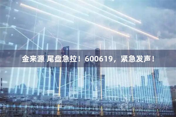 金来源 尾盘急拉！600619，紧急发声！