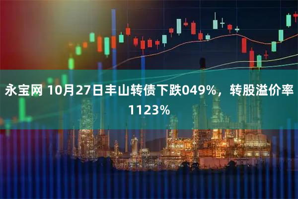 永宝网 10月27日丰山转债下跌049%，转股溢价率1123%